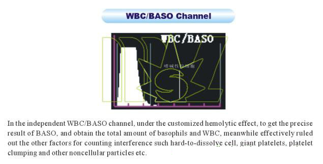 WBC/BASO Channel