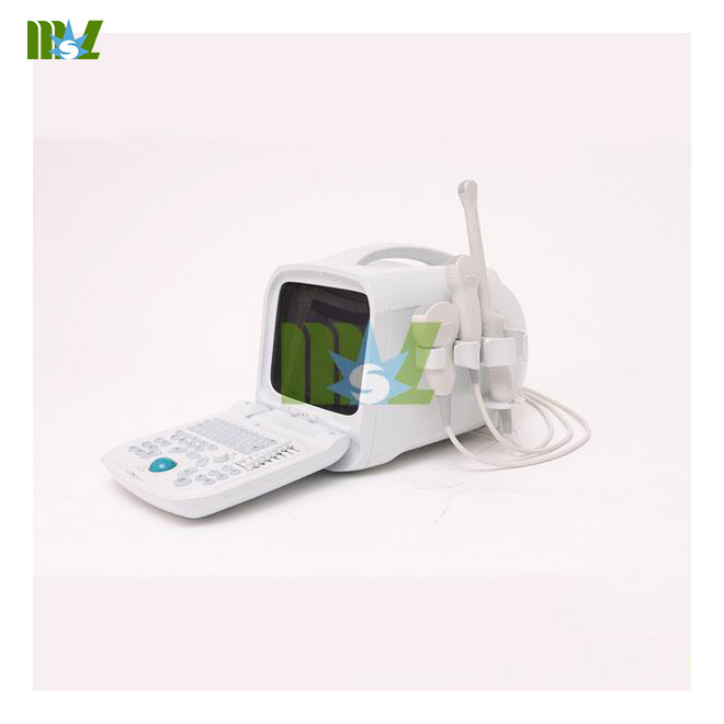 portable ultrasound device