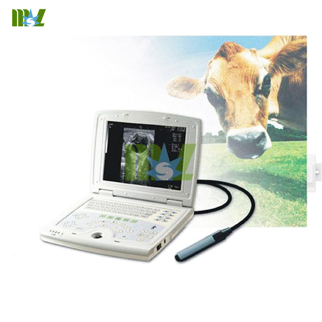 ultrasound veterinary equipment