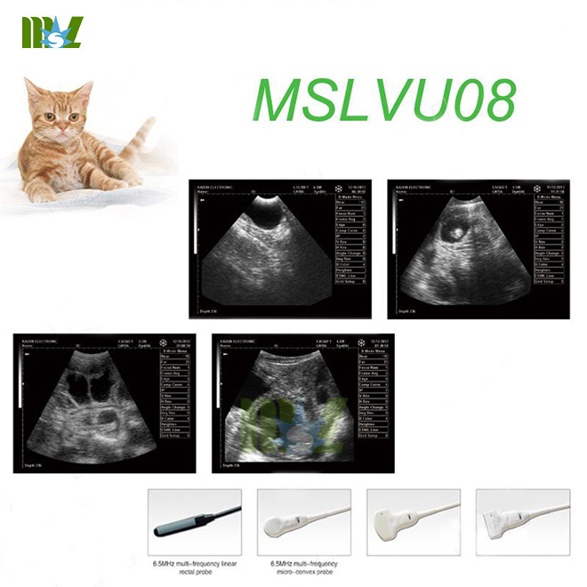best laptop ultrasound veterinary equipment MSLVU08