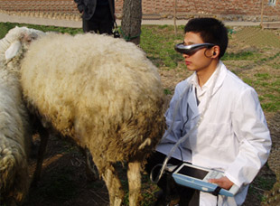 MSL Animal ultrasound machine used in cattle, etc.-MSLVU02