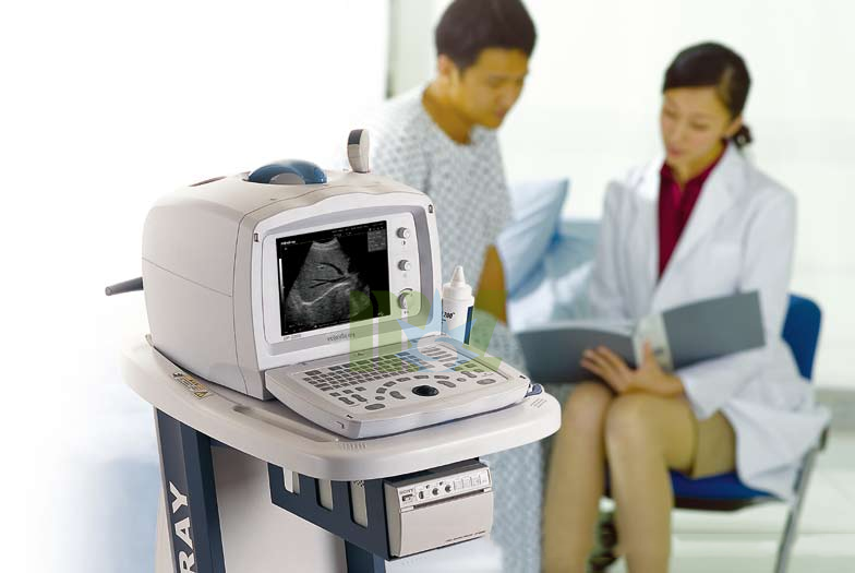 New Portable Black and White Ultrasound Mindray DP-2200