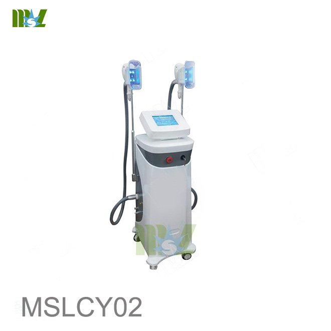 MSL Cryolipolysis cavitation laser slimming machine MSLCY02