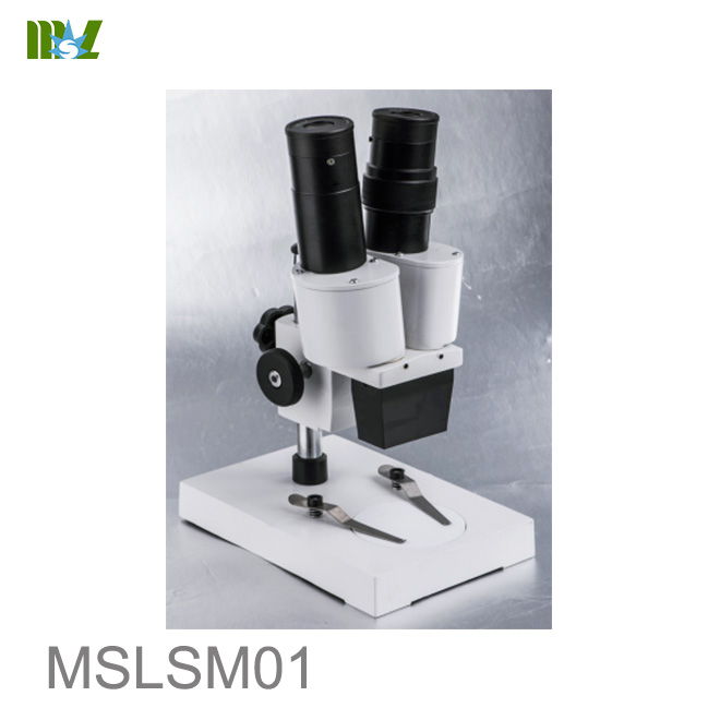 MSL Stereo microscope with digital camera