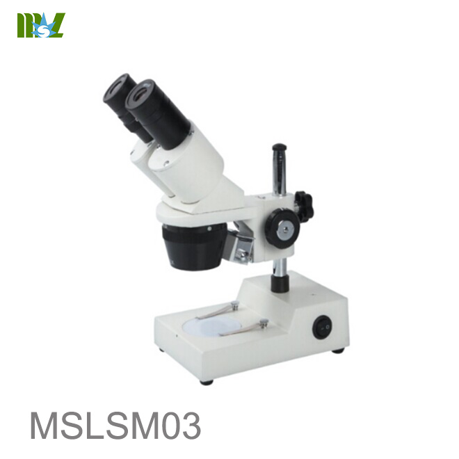 Cheap Stereo microscope with digital camera