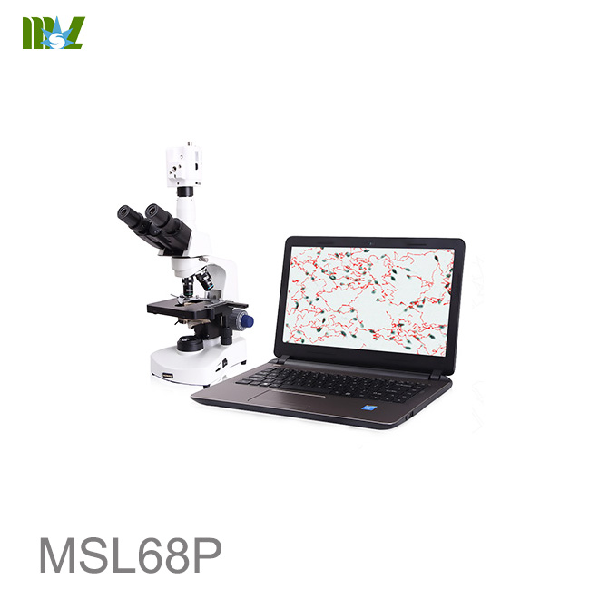 Professional Veterinary Sperm Analyzer MSL68P
