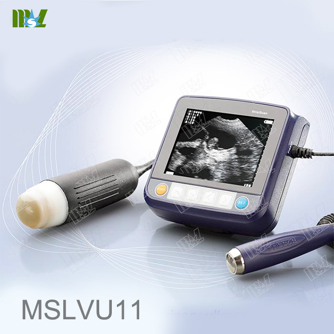 Mini Veterinary Ultrasound