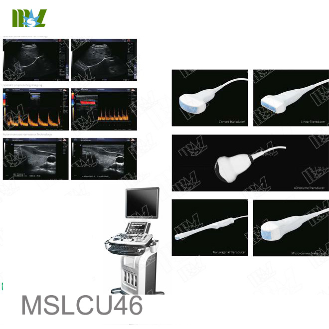 testicular ultrasound MSLCU46