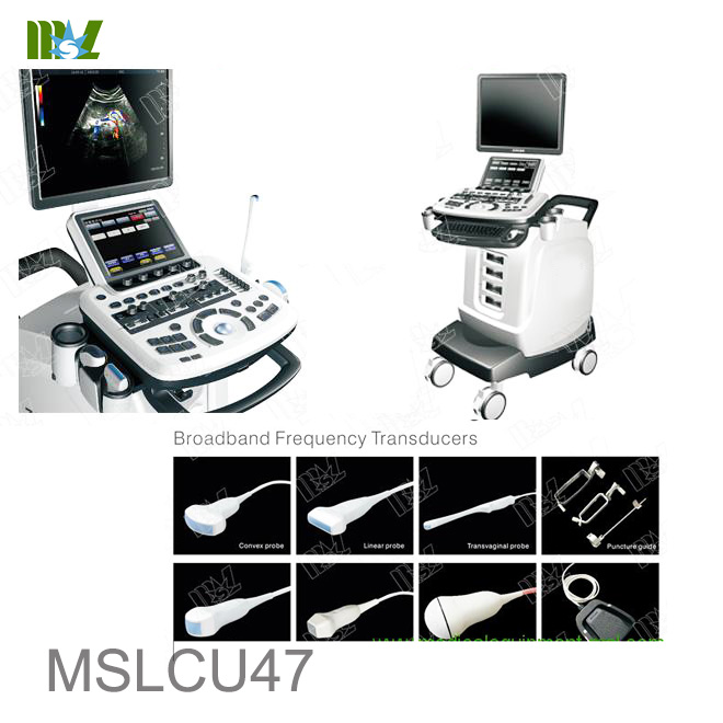 transvaginal ultrasonography