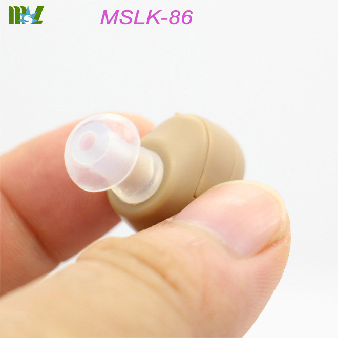 small hearing aids