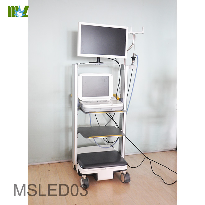 endoscopy MSLED03