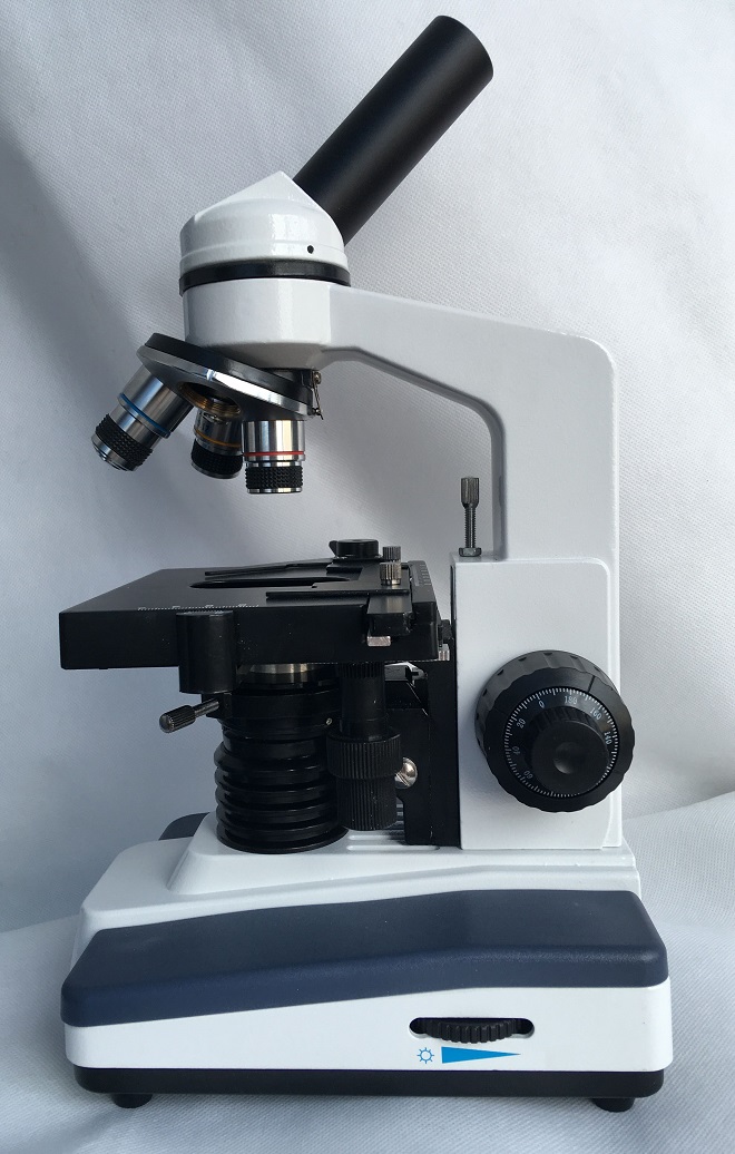 dark field microscopy