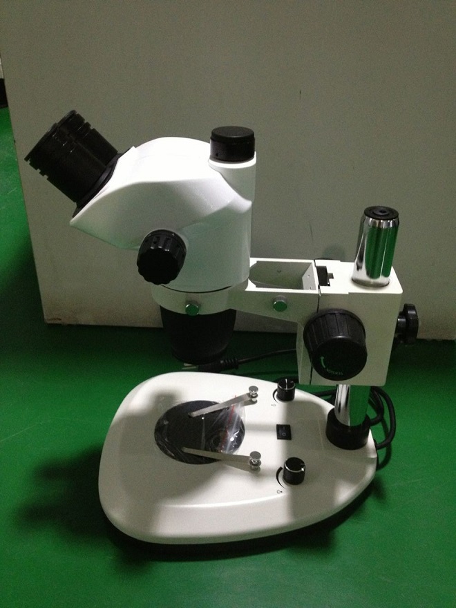 clinical microscopy