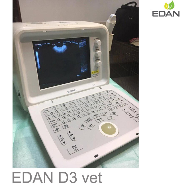 abdominal ultrasound EDAN D3 VET