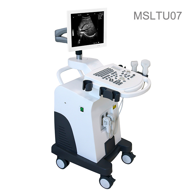 Full digital ultrasound diagnostic scanner