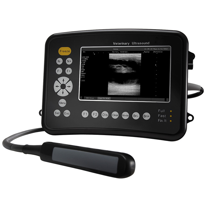 Dog ultrasound machine MSLVU26