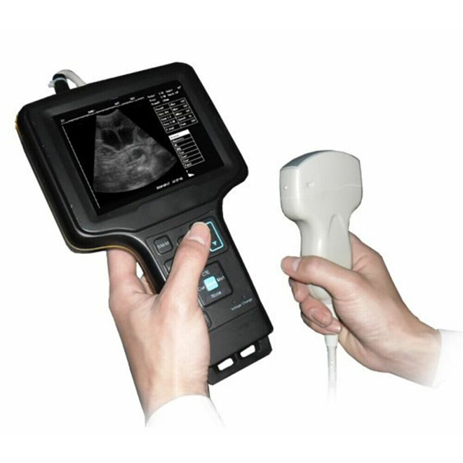 Portable ultrasound machine veterinary MSLVU31