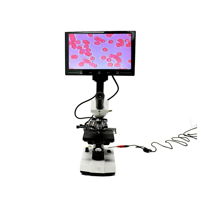 Blood analysis microscope MSLYZ11-3