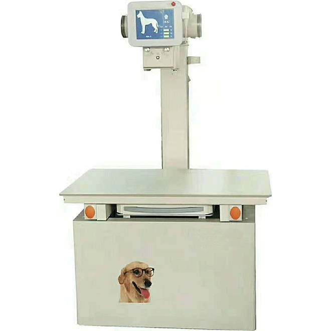 x ray machine veterinary